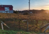 Land suitable for development for sale on España, Sanxenxo, ref: TR125606 photo