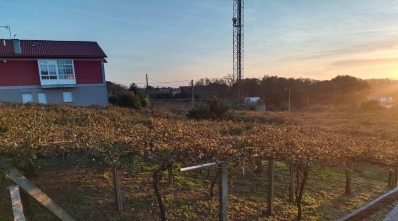 Pontevedra - Sanxenxo - 5393m2