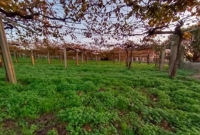 Sangenjo 5393&nbsp;м²