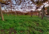 Land suitable for development for sale on España, Sanxenxo, ref: TR125606 photo