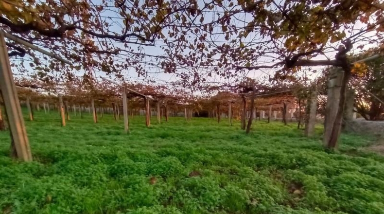 Pontevedra - Sanxenxo - 5393m2