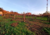 Land suitable for development for sale on España, Sanxenxo, ref: TR125606 photo