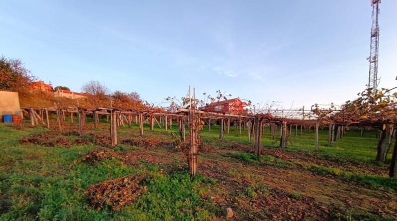 Pontevedra - Sanxenxo - 5393m2