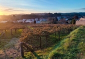 Land suitable for development for sale on España, Sanxenxo, ref: TR125606 photo