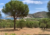 Parcela urbanizable en venta en la España, el Port de la Selva, ref: TR191975 foto