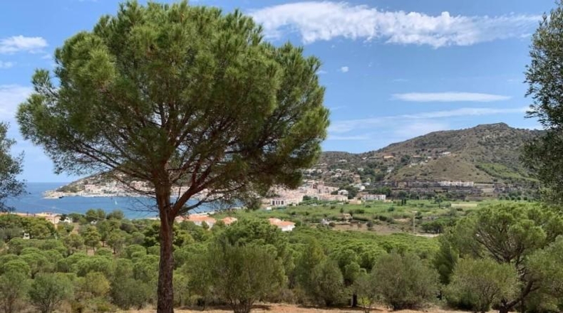 Gerona - el Port de la Selva - 6043m2