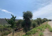 Parcela urbanizable en venta en la España, el Port de la Selva, ref: TR191975 foto
