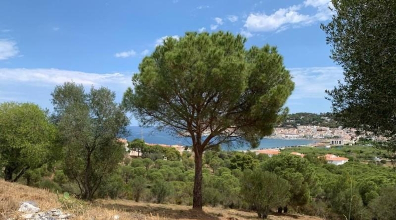 Gerona - el Port de la Selva - 6043m2