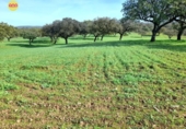 Земля на продажу у города Villanueva de los Castillejos Фото