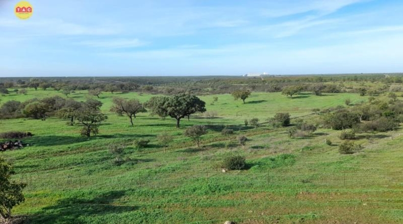 Huelva - Villanueva de los Castillejos - 1075673m2