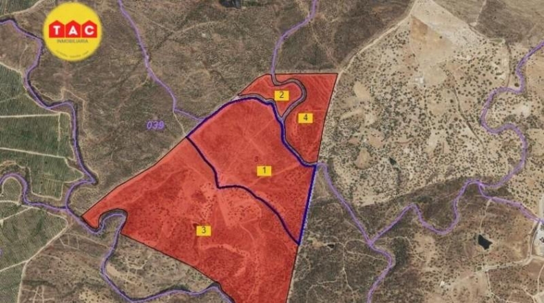 Huelva - Villanueva de los Castillejos - 1075673m2