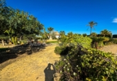 Casa de campo con terreno en venta en la España, Orihuela, ref: TR161996 foto