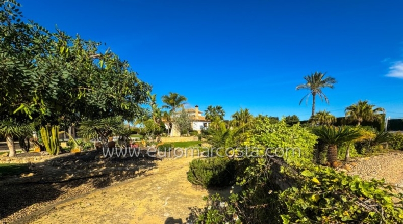 Alicante - Oriola - 9600m2