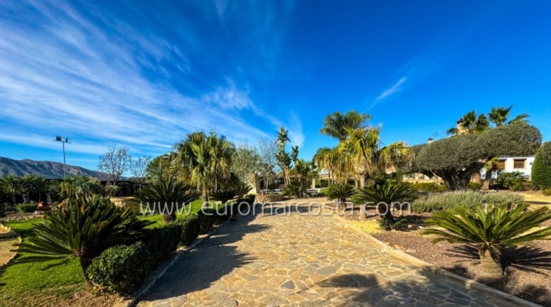 Alicante - Oriola - 9600m2