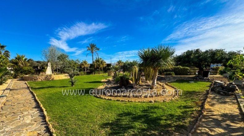Alicante - Oriola - 9600m2