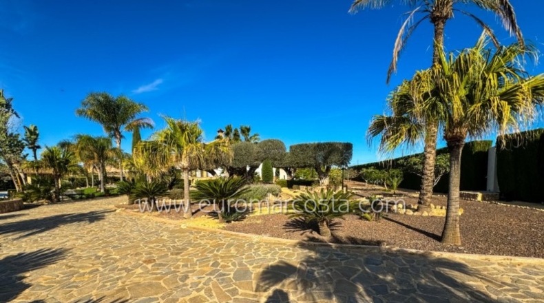 Alicante - Oriola - 9600m2