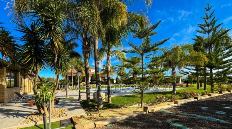 Alicante - Oriola - 9600m2