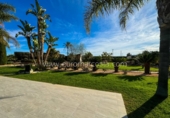 Casa de campo con terreno en venta en la España, Orihuela, ref: TR161996 foto