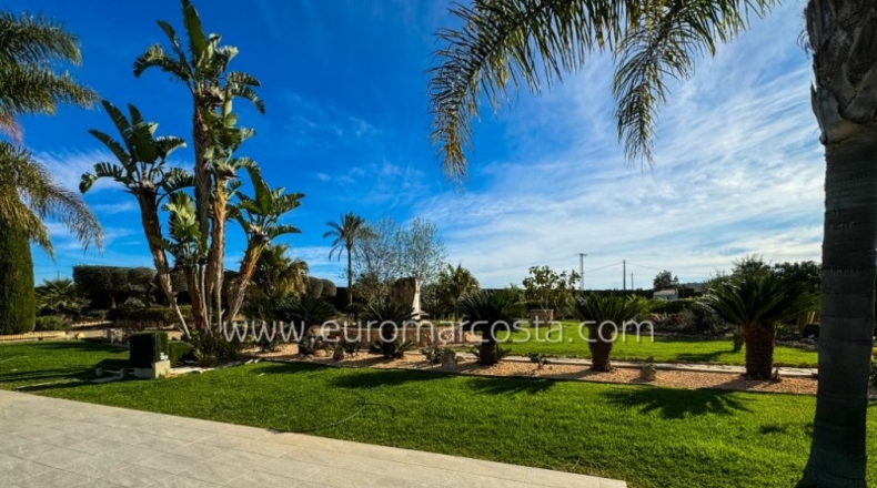 Alicante - Oriola - 9600m2