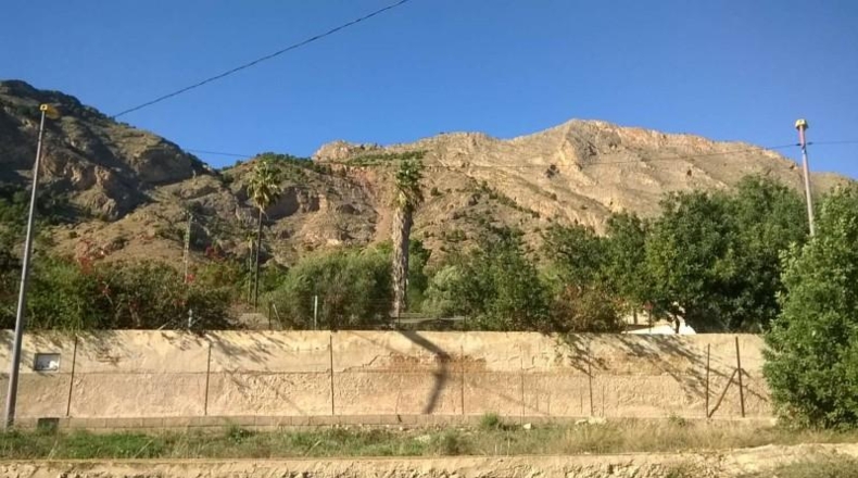 Alicante - Orihuela - 12441m2
