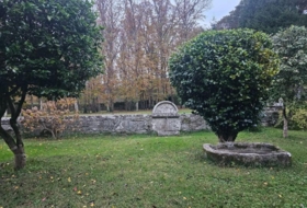 Foto 19