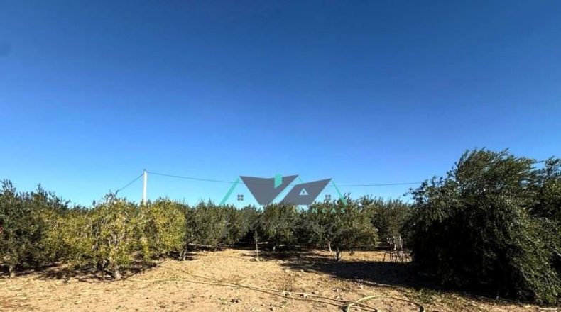 Мурсия - Águilas - 7300m2