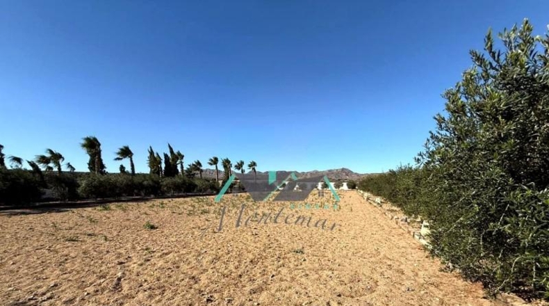 Мурсия - Águilas - 7300m2