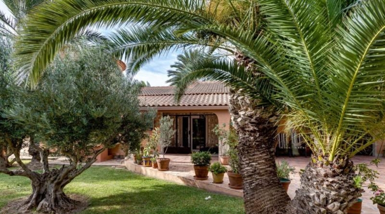 Alicante - Торревьеха - 1850m2