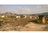 Terreny no urbanitzable en venda a la España, Oriola, ref.: TR341458 foto