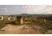 Terreny no urbanitzable en venda a la España, Oriola, ref.: TR341458 foto