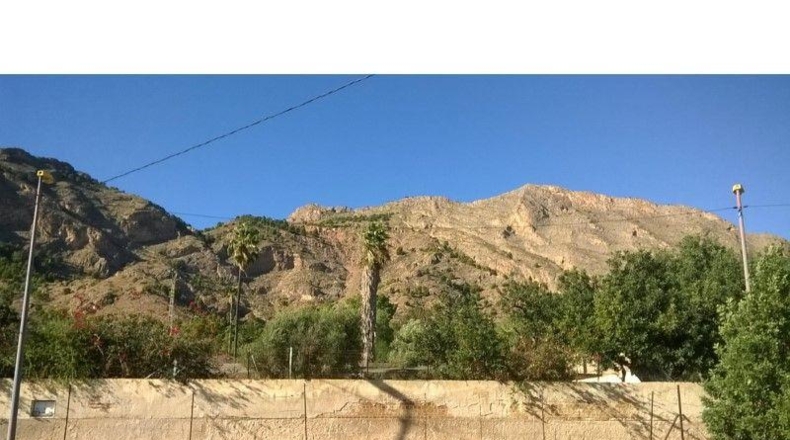 Аликанте - Orihuela - 12441m2