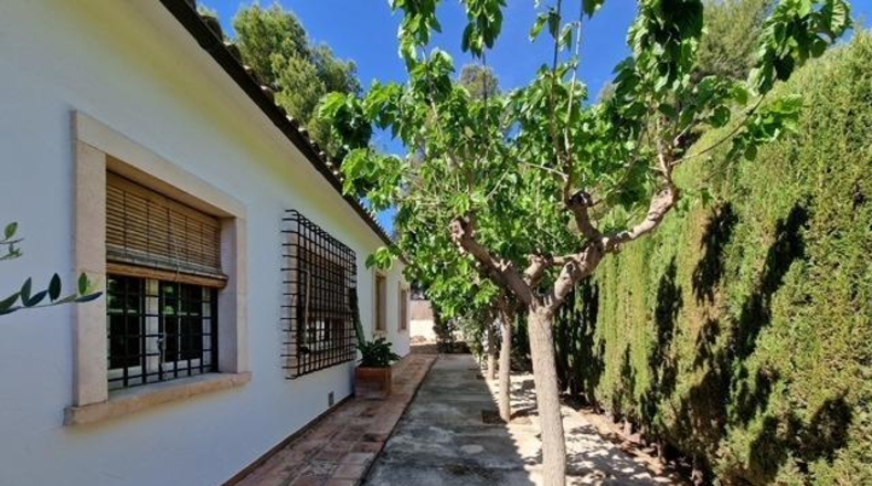 Alicante - Tibi - 1900m2