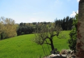 Country house with land for sale on España, Fogars de Montclús, ref: TR240351 photo