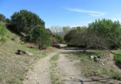Country house with land for sale on España, Fogars de Montclús, ref: TR240351 photo
