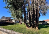 Casa con terreno en venta en la España, Vigo, ref: TR282730 foto
