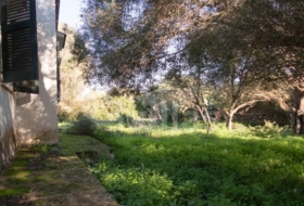 Ciutadella de Menorca 50000&nbsp;м²