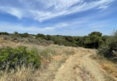 Sòl urbà en venda a la España, San Roque, ref.: TR304885 foto
