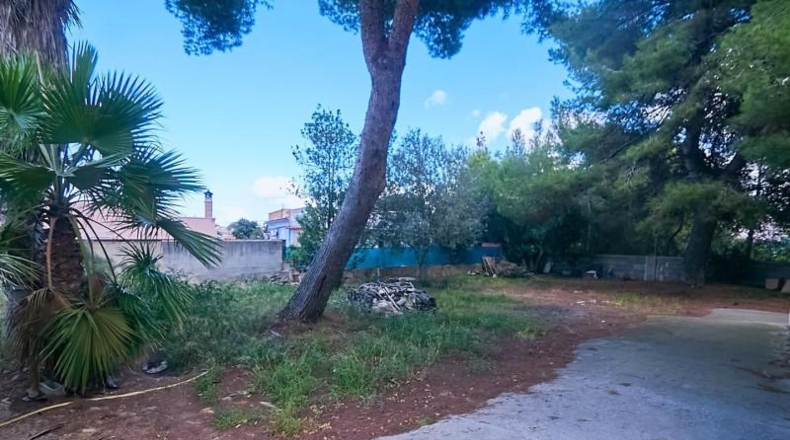Islas Baleares - Palma - 822m2