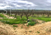 Non-developable land for sale on España, Huévar del Aljarafe, ref: TR120765 photo