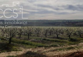 Non-developable land for sale on España, Huévar del Aljarafe, ref: TR120765 photo