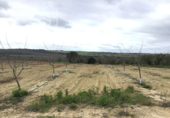 Non-developable land for sale on España, Huévar del Aljarafe, ref: TR120765 photo