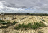 Non-developable land for sale on España, Huévar del Aljarafe, ref: TR120765 photo