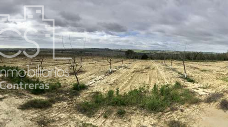 Seville - Huévar del Aljarafe - 240000m2