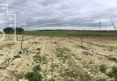 Non-developable land for sale on España, Huévar del Aljarafe, ref: TR120765 photo