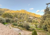 Xalet independent amb terreny en venda a la España, Mancor de la Vall, ref.: TR364456 foto