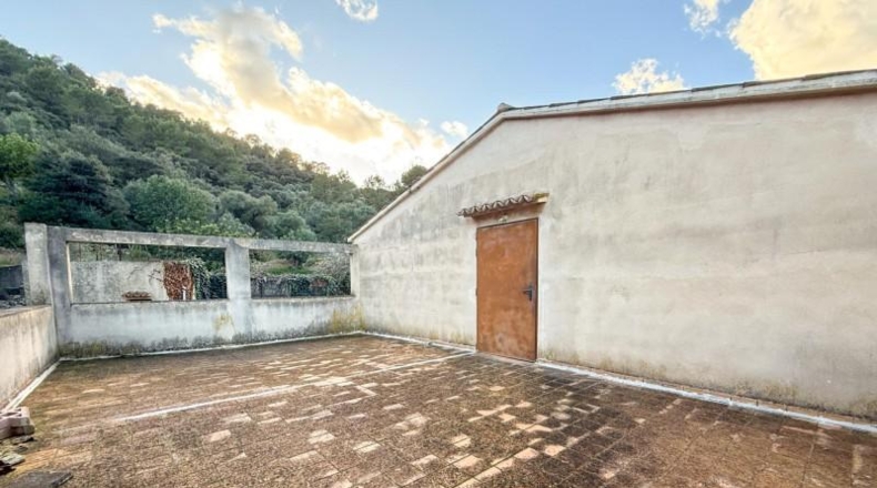 Illes Balears - Selva - 4073m2