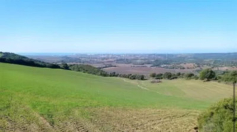 Cádiz - Vejer de la Frontera - 34887m2