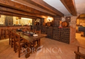 Xalet independent amb terreny en venda a la España, Santa Cristina d'Aro, ref.: TR223409 foto