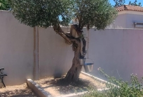 Foto 14
