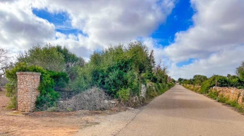 Islas Baleares - Felanitx - 15000m2